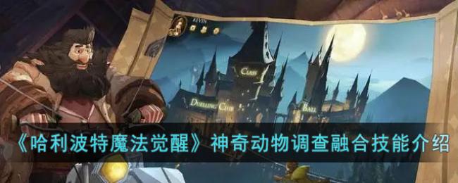 ��������ħ���������涯������ںϼ��ܽ���