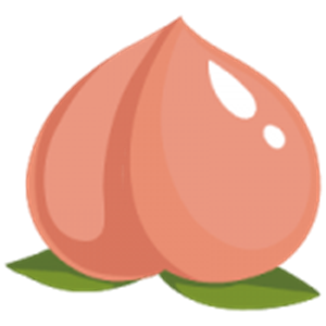 ����Ӱ��������װ